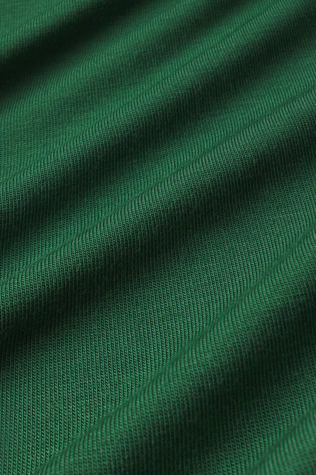 Image of Forest Green/Ivory fabric detail.